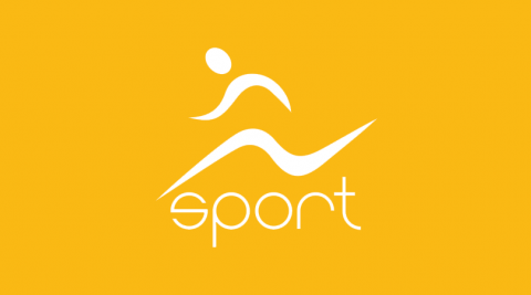 Overdraft to INSPORT clients