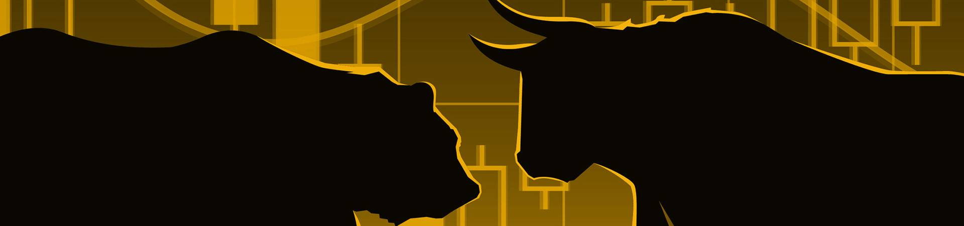 Operations in local and international stock markets